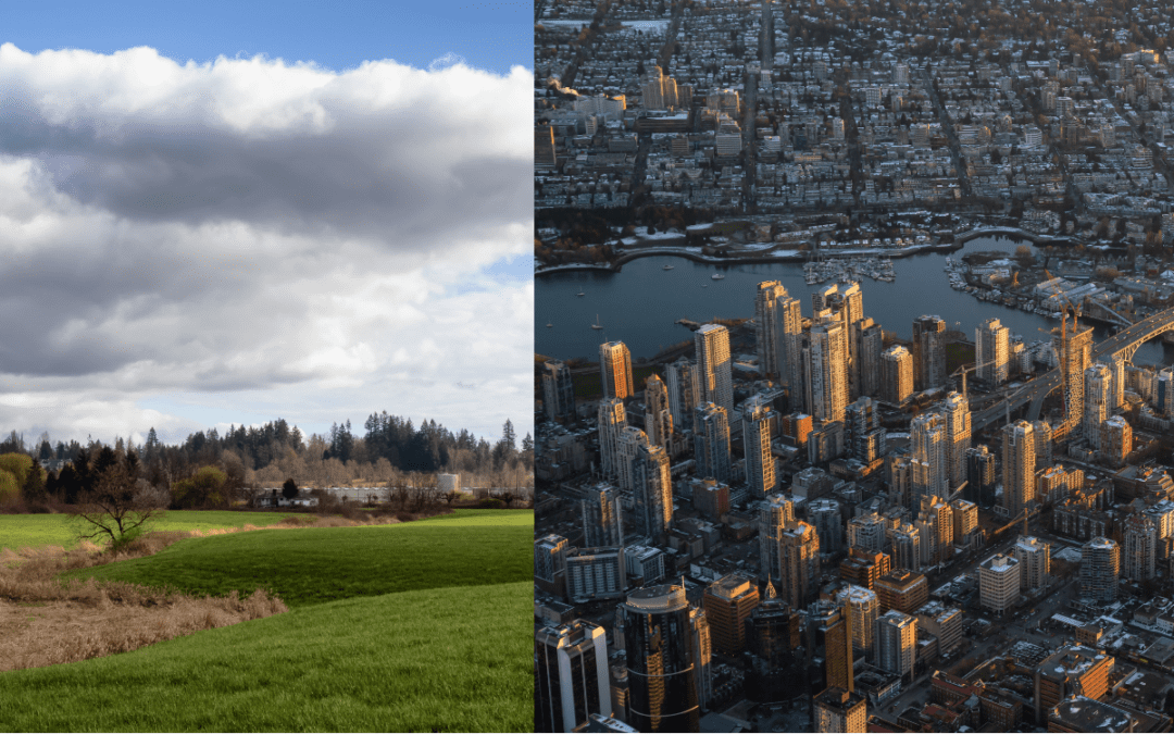 Urban exodus reversal: Homeowners grapple with reality as challenges and commutes overshadow rural charms